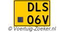 DLS-06-V