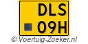 DLS-09-H