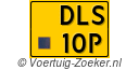 DLS-10-P