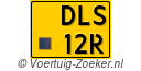 DLS-12-R