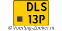 DLS13P