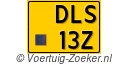 DLS13Z