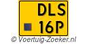 DLS-16-P
