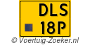 DLS-18-P