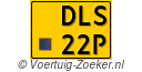 DLS-22-P