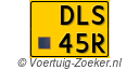 DLS45R