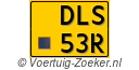 DLS-53-R