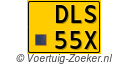 DLS55X