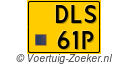 DLS61P