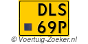 DLS-69-P