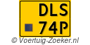 DLS-74-P