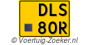 DLS-80-R