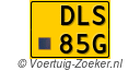 DLS-85-G