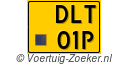 DLT-01-P
