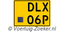 DLX-06-P