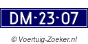 DM2307