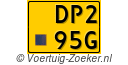 DP295G