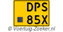 DPS85X