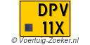 DPV11X
