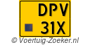 DPV-31-X