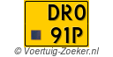 DR-091-P