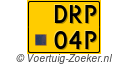 DRP-04-P