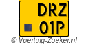 DRZ-01-P