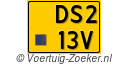 DS-213-V