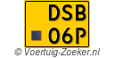 DSB-06-P