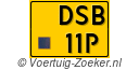 DSB-11-P