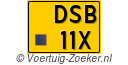 DSB-11-X