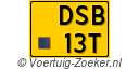 DSB13T