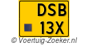 DSB-13-X