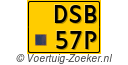 DSB-57-P