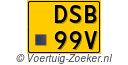 DSB-99-V