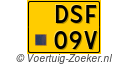 DSF-09-V