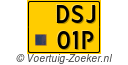 DSJ-01-P