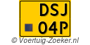 DSJ-04-P