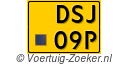 DSJ-09-P