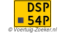 DSP-54-P