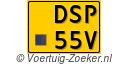 DSP-55-V