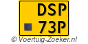DSP-73-P