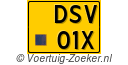 DSV01X