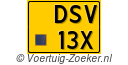 DSV13X