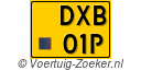 DXB-01-P