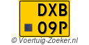DXB-09-P