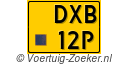 DXB-12-P