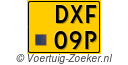 DXF-09-P