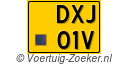 DXJ-01-V