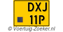 DXJ-11-P